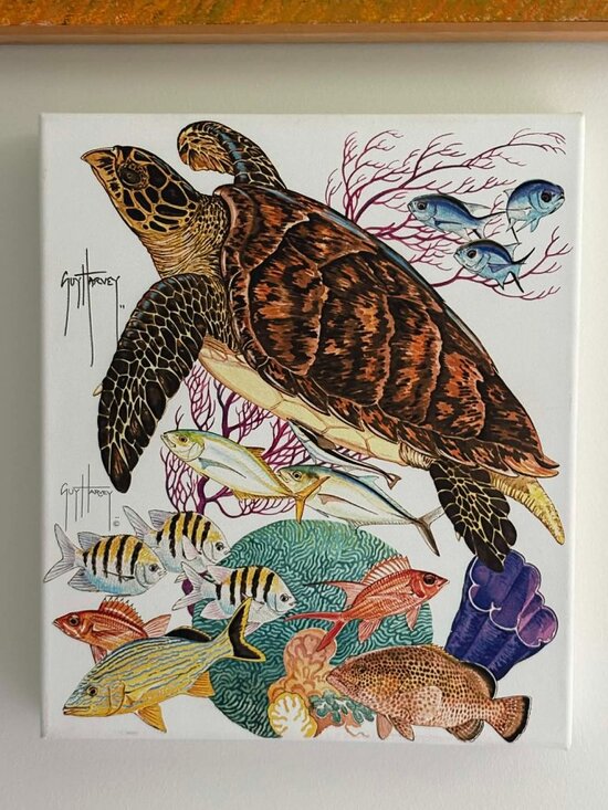 Guy Harvey Other - Signed Guy Harvey Sea Turtle Canvas 12x14 – Jamaica Fundraiser